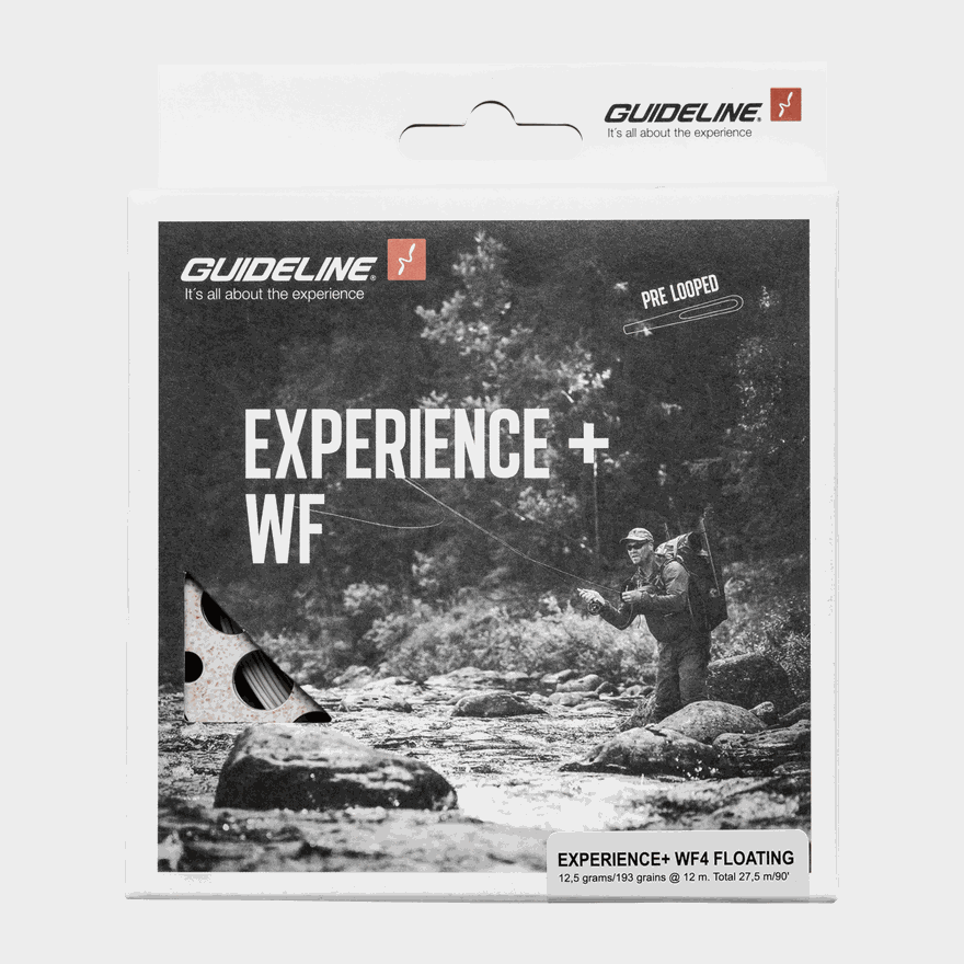 Experience+ WF #4, fluglina - full image 1