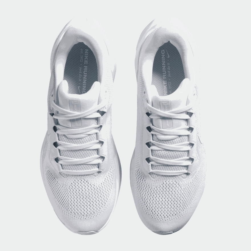 Pegasus 41 - full image 4