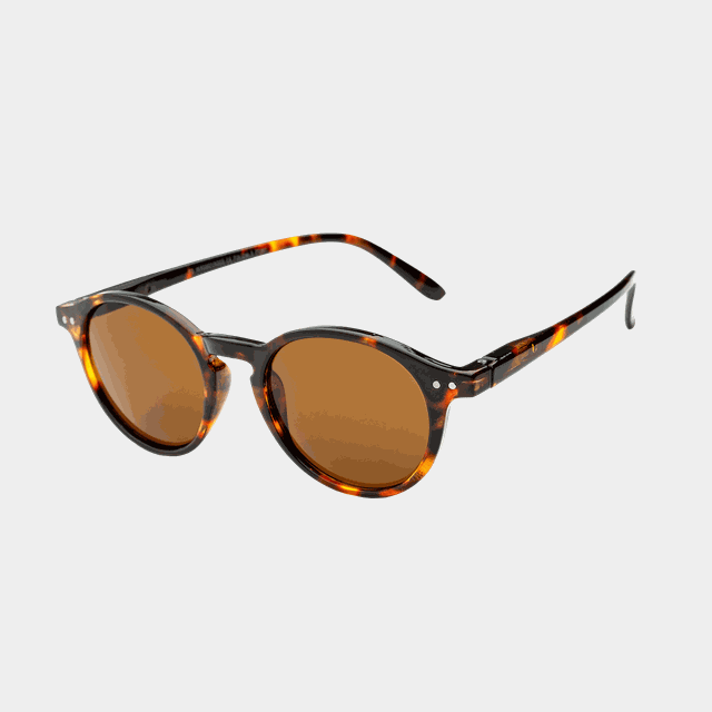 17 Demibrown Brown Lens, solglasögon - Lifestyle