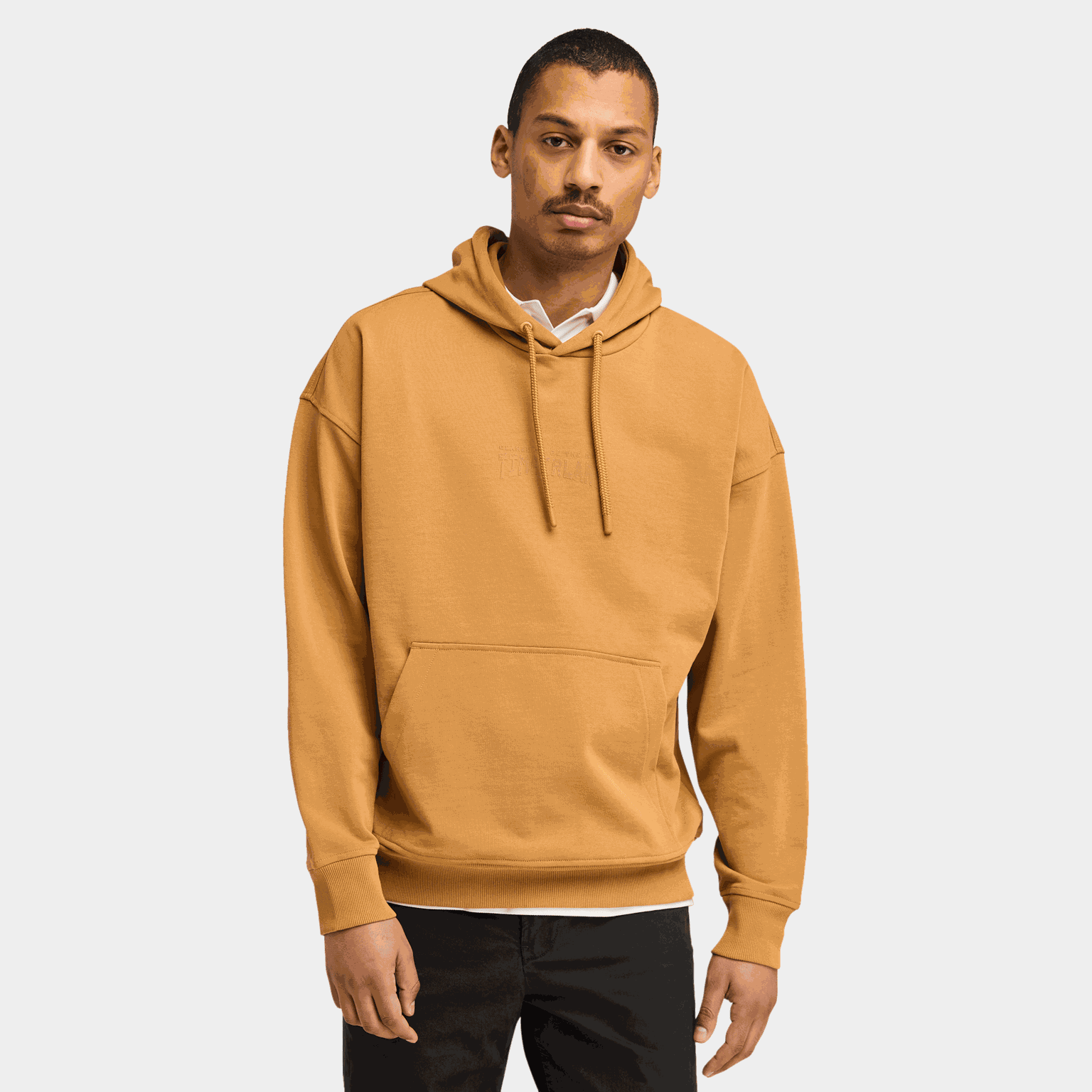 Back Logo Hoodie Sweats, huvtröja, herr - full image 1