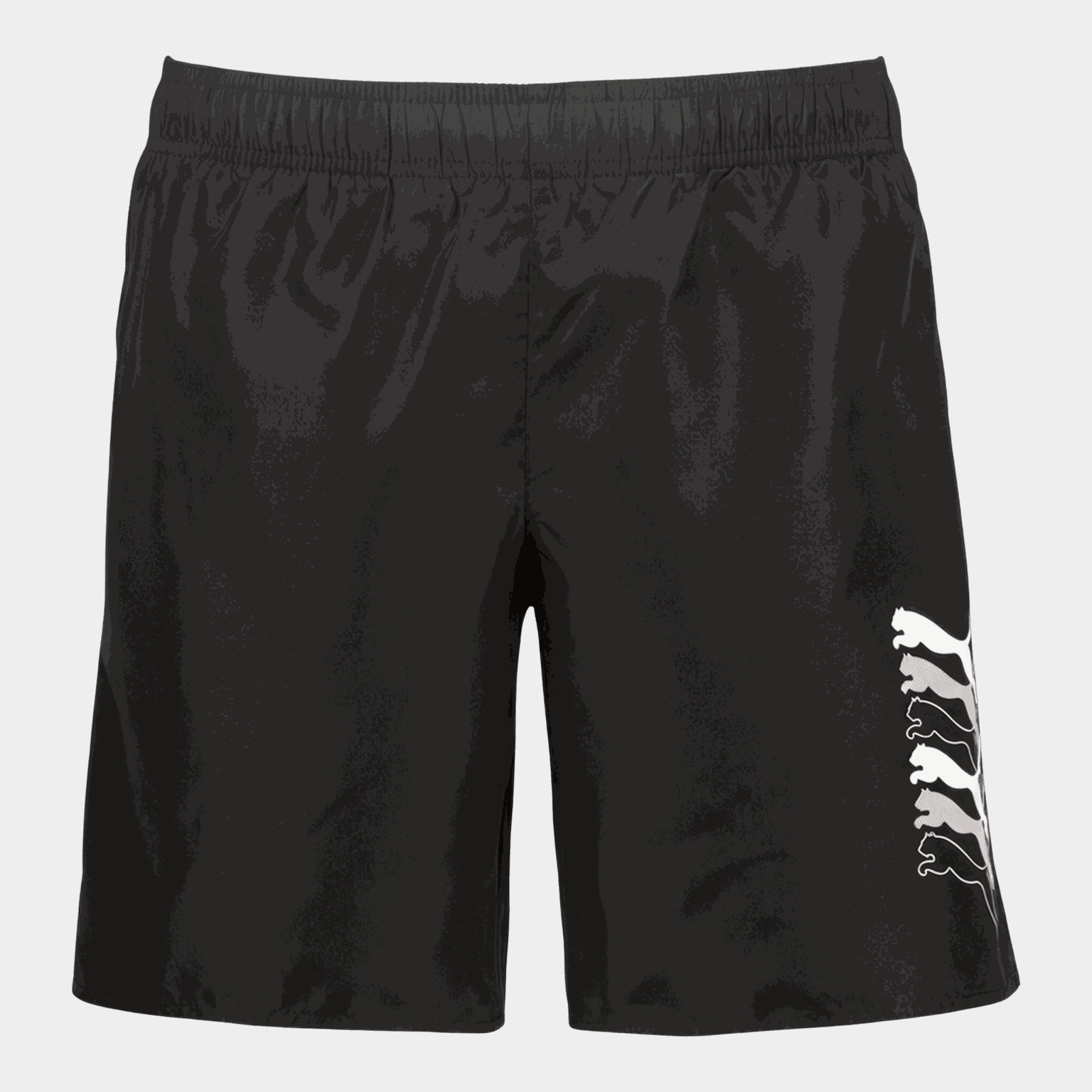 Swim Cats - Badshorts