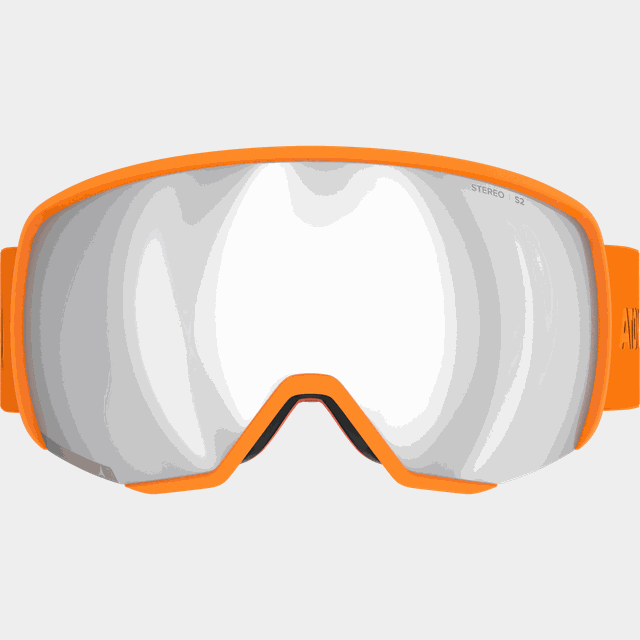 Alpine Goggles Revent L Stereo, skid- och snowboardglasögon, unisex - Goggles
