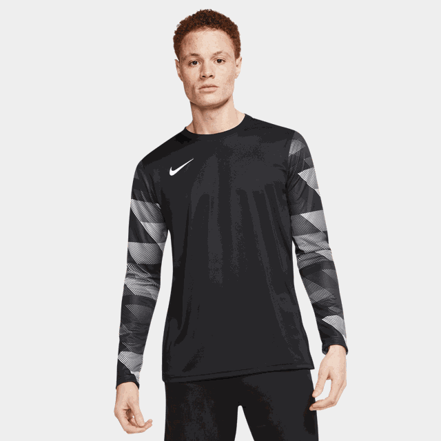 Dri-FIT Park IV Jersey Long Sleeve Goalkeeper, målvaktströja - Målvakt tröjor