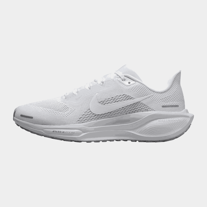 Pegasus 41 - full image 2
