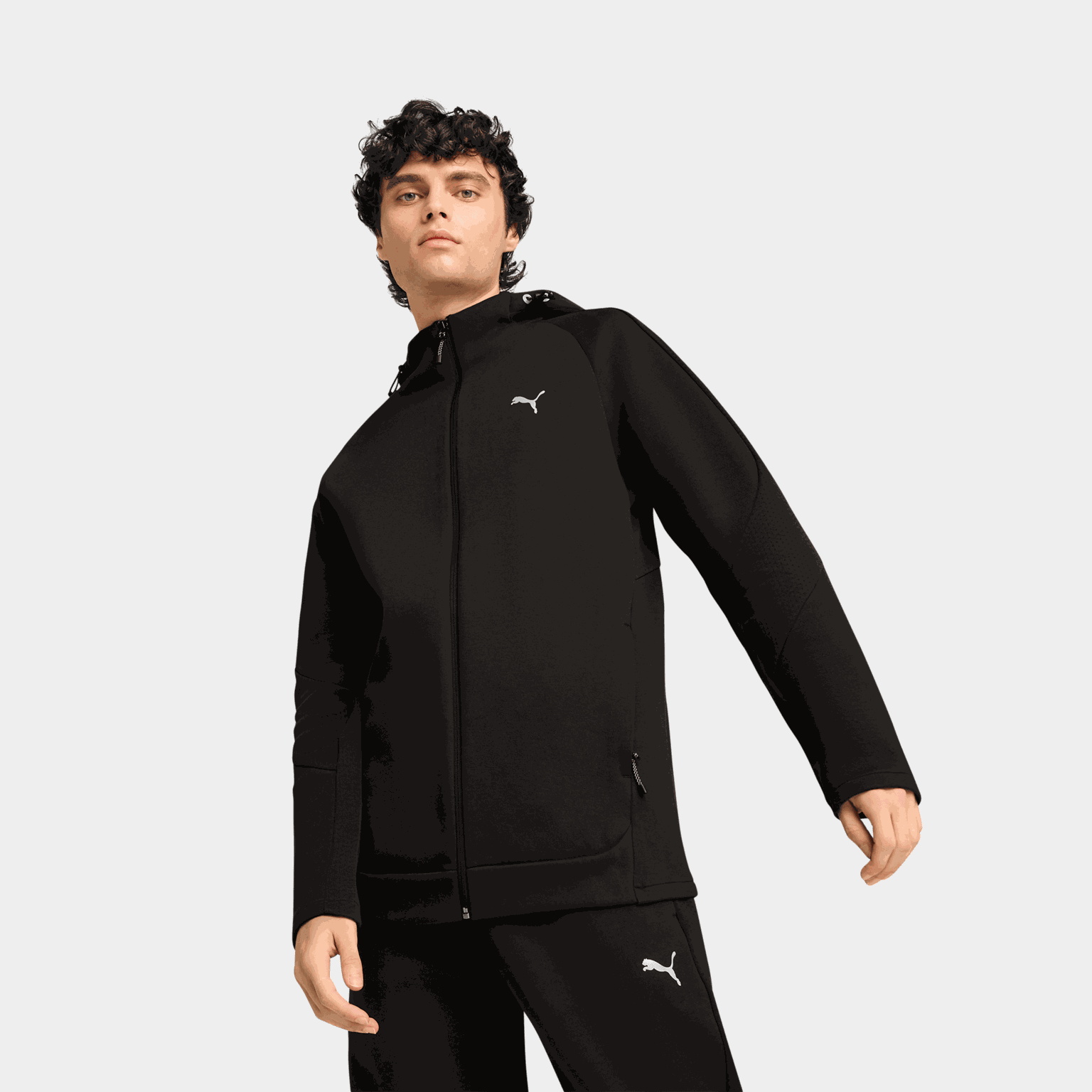 Evostripe Full-Zip Hoodie DK, huvjacka, herr - full image 1