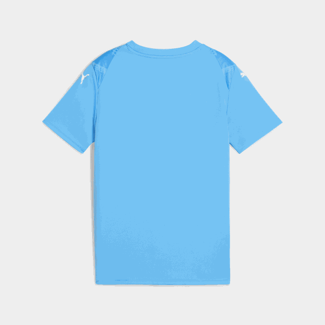 teamULTIMATE Jersey, träningströja - T-Shirts