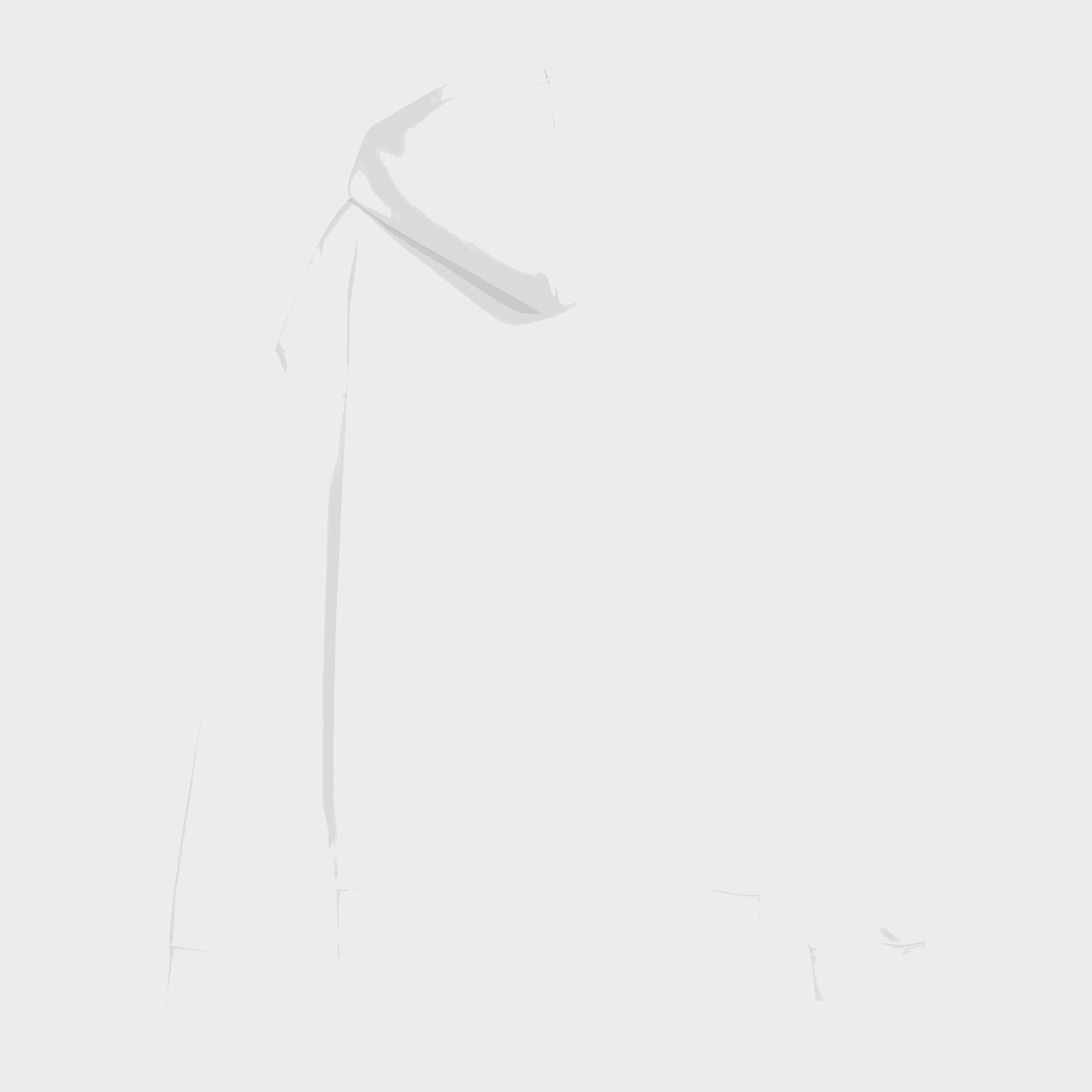 ESS Small No. 1 Logo Comfort Full-Zip Hoodie, huvjacka - full image 2