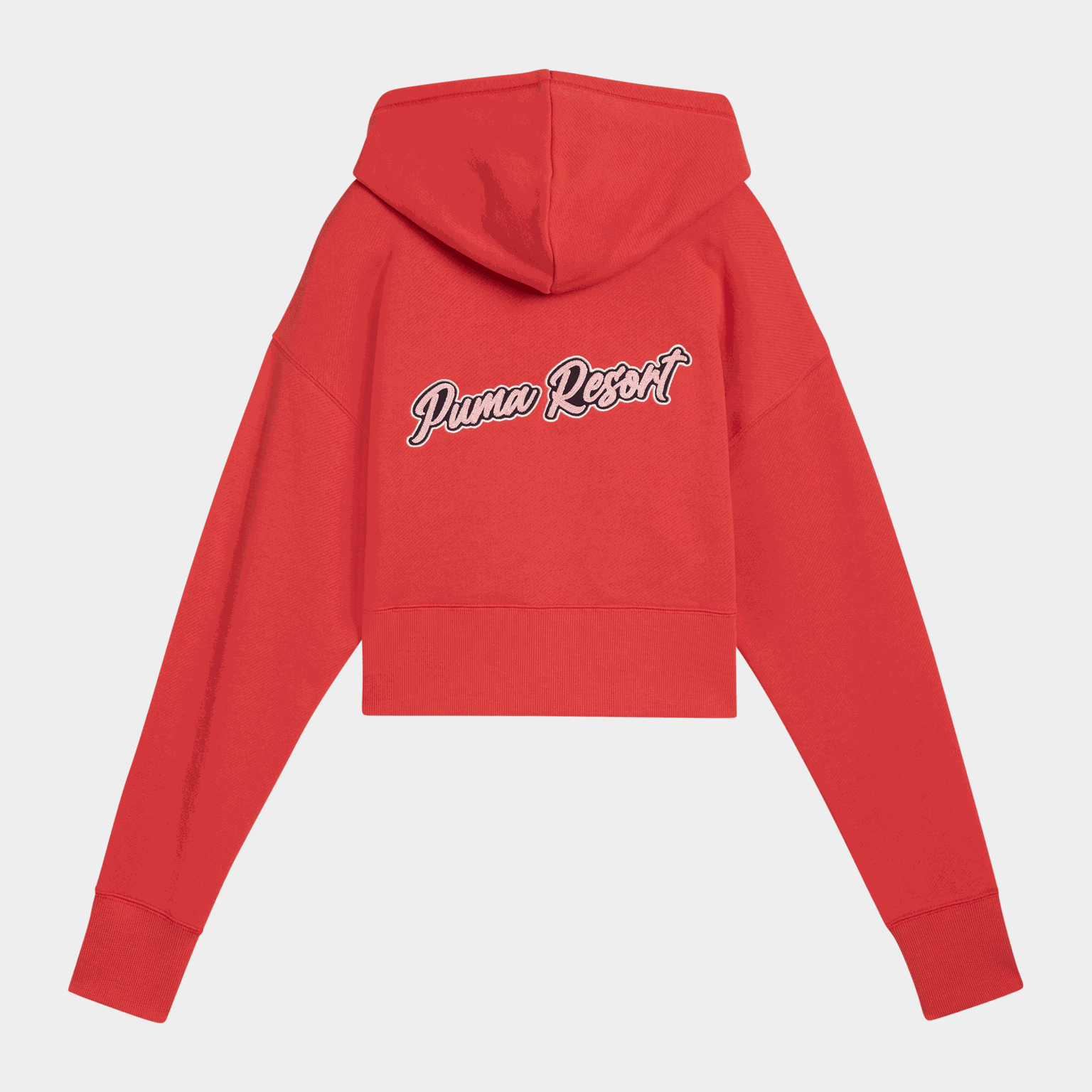 Premium ESS Relaxed Graphic Hoodie, huvtröja med tryck, dam - full image 2