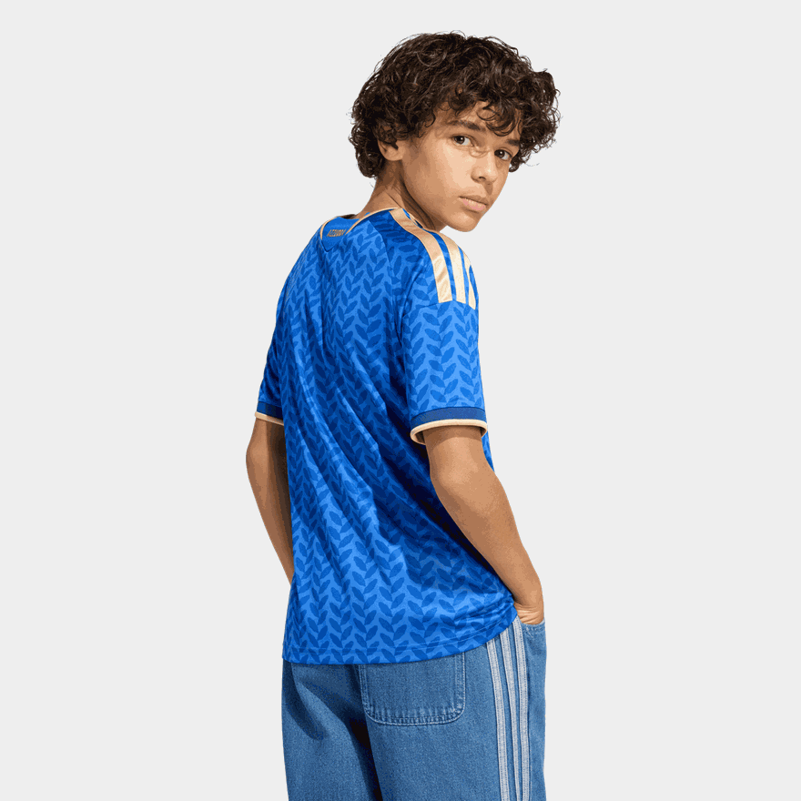 FIGC H JSY, fotbollsställ, junior - full image 2