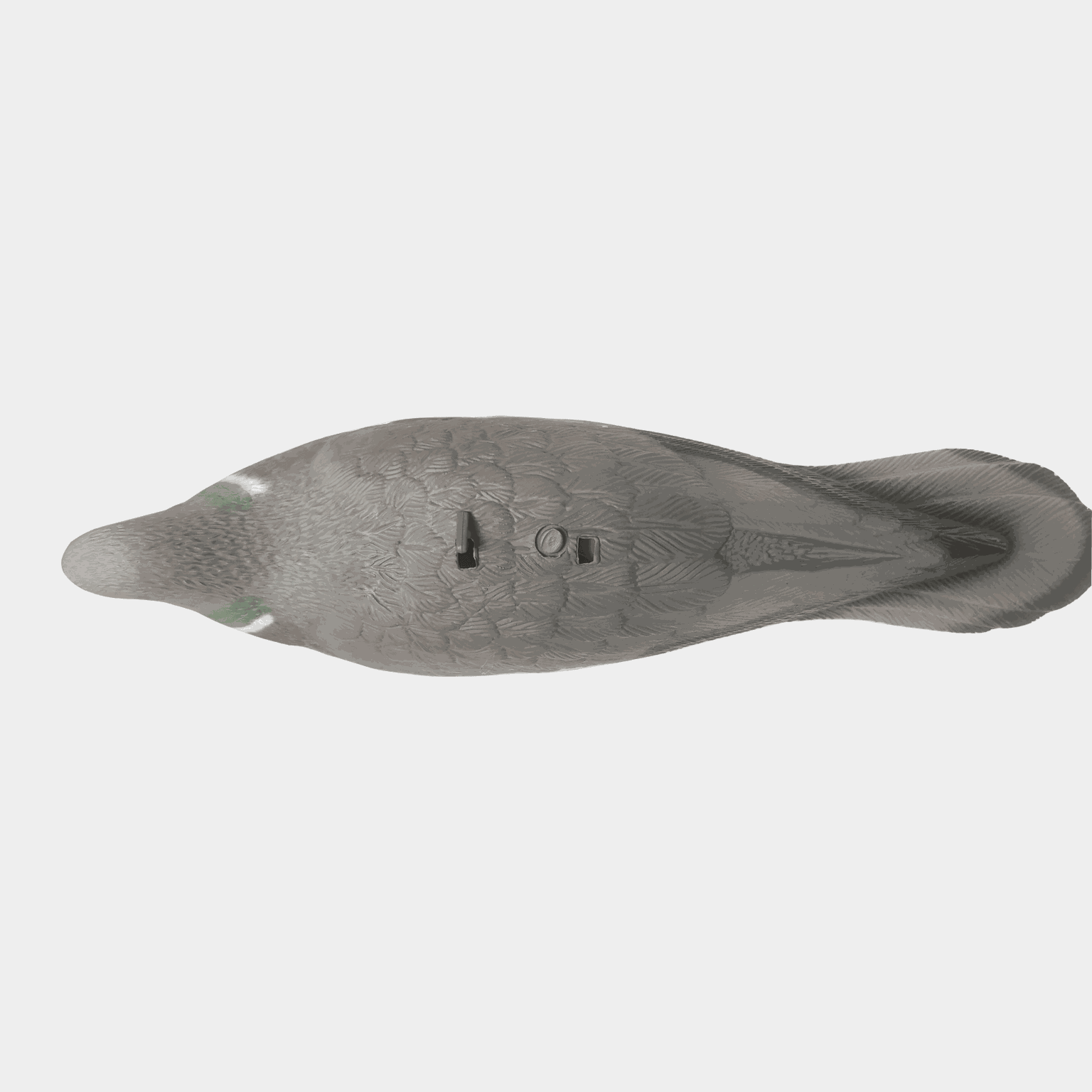 Pidgeon Shell 10pk - full image 3