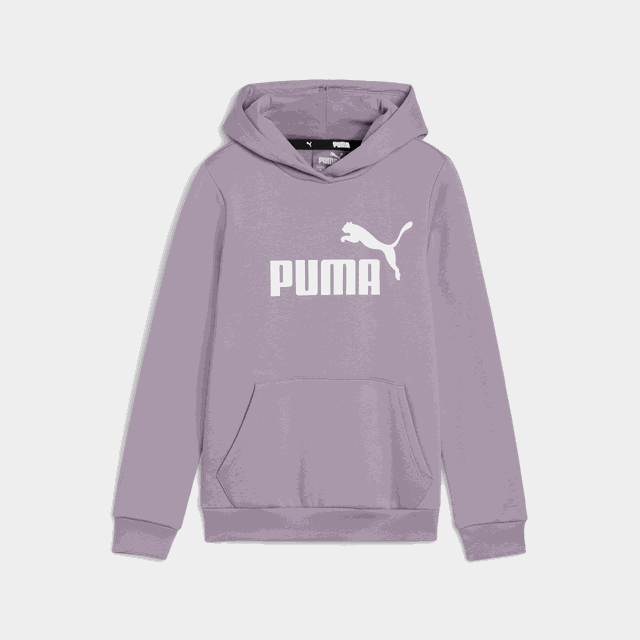 Essential Logo Hoodie FL, huvtröja - Fritidströjor