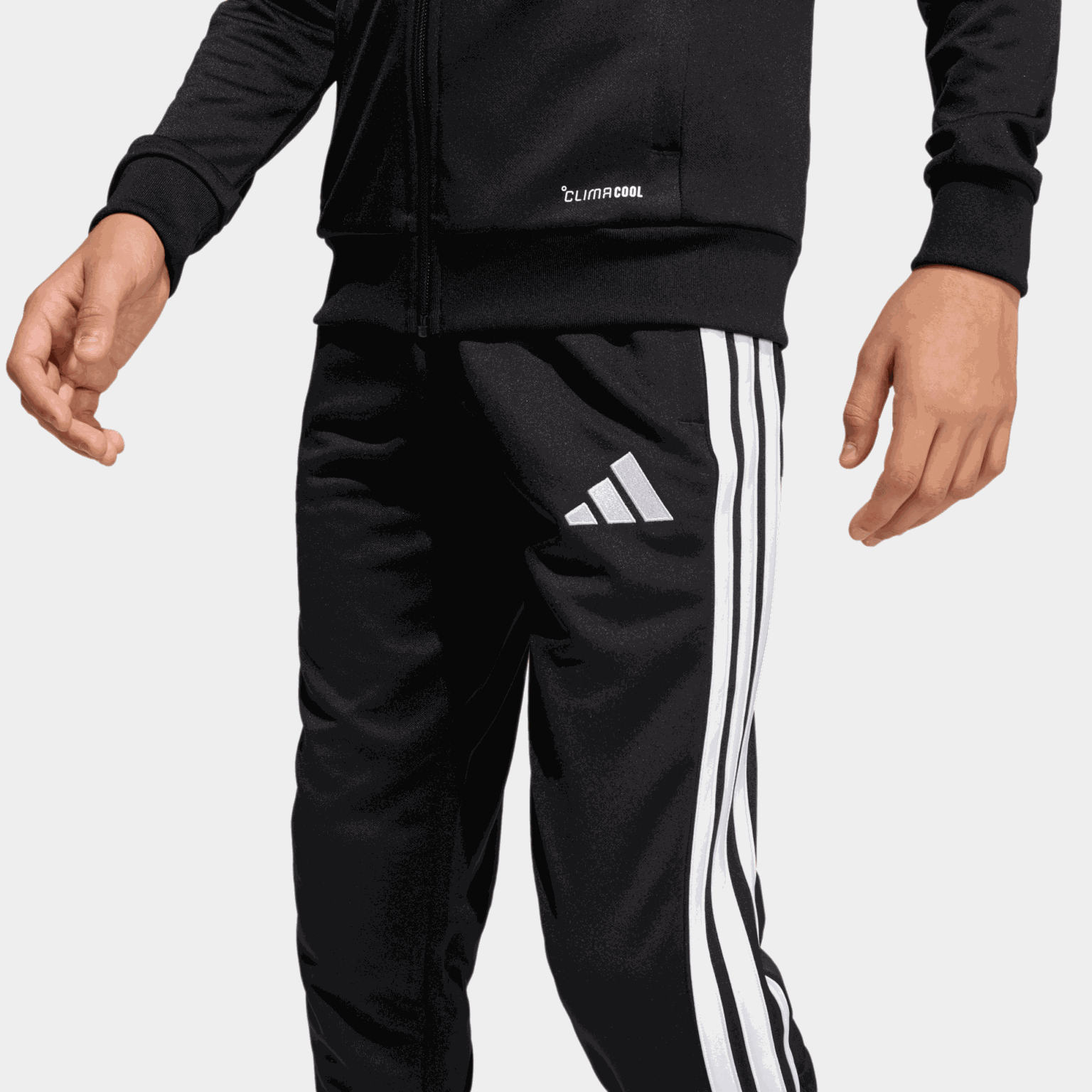 TIRO26L PNTR, fotbollsbyxor, junior - full image 3
