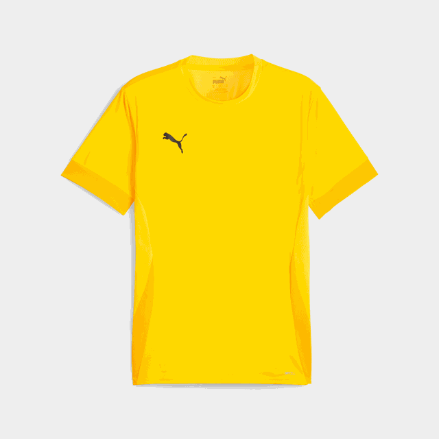 teamGOAL Matchday Jersey, träningströja, herr - Tröjor