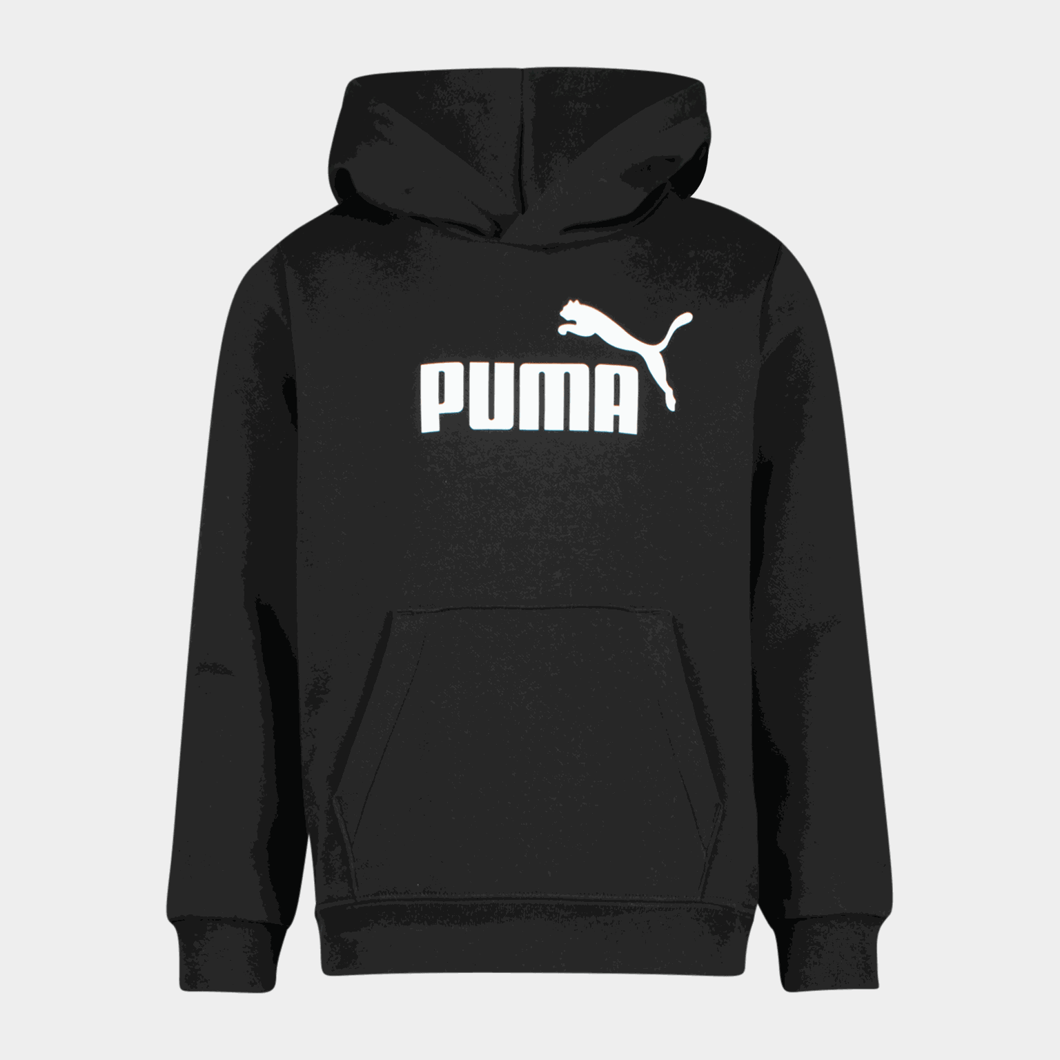 Essential No. 1 Logo Hoodie FL PS, huvtröja - full image 1
