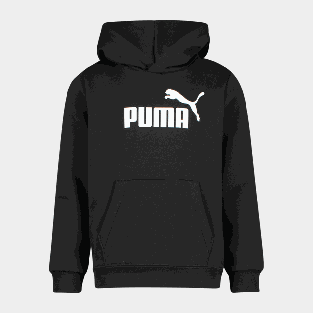 Essential No. 1 Logo Hoodie FL PS, huvtröja - Fritidströjor