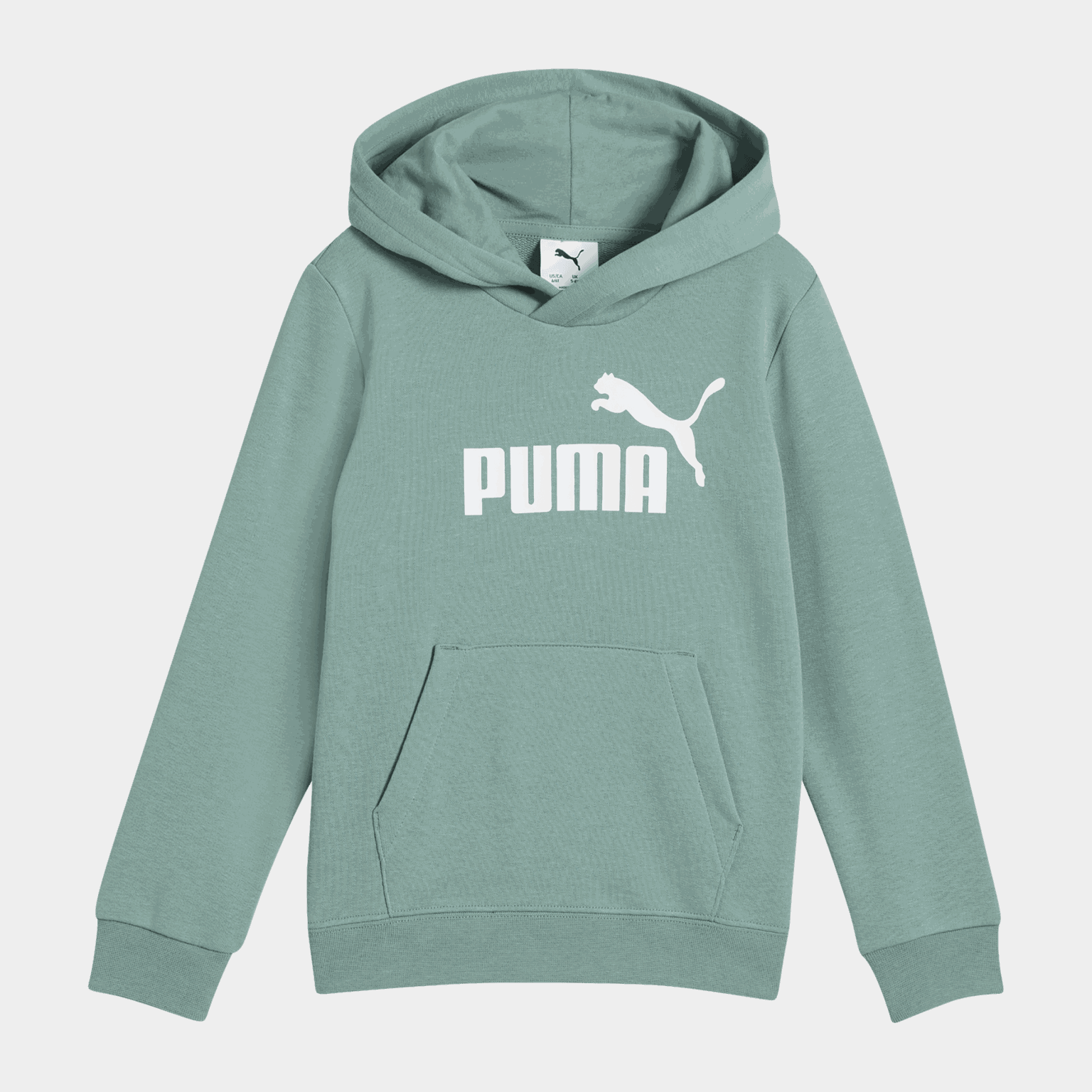 Essential No. 1 Logo Hoodie TR PS, huvtröja, barn - full image 1