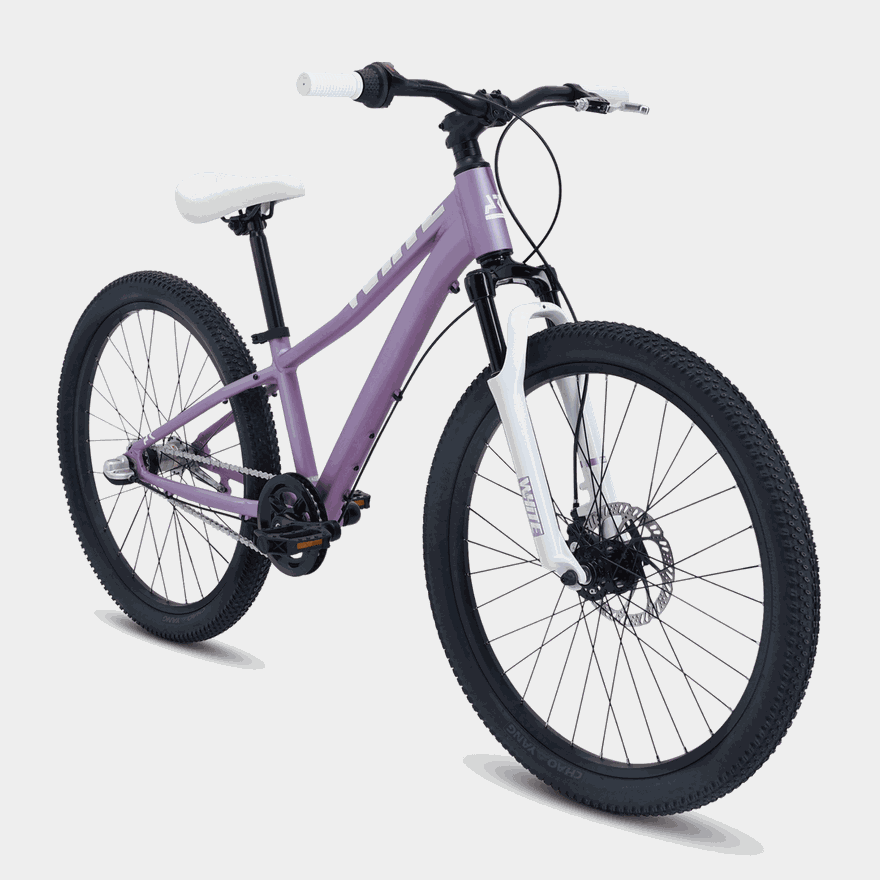 AR 240 Comp 25, mountainbike - full image 2
