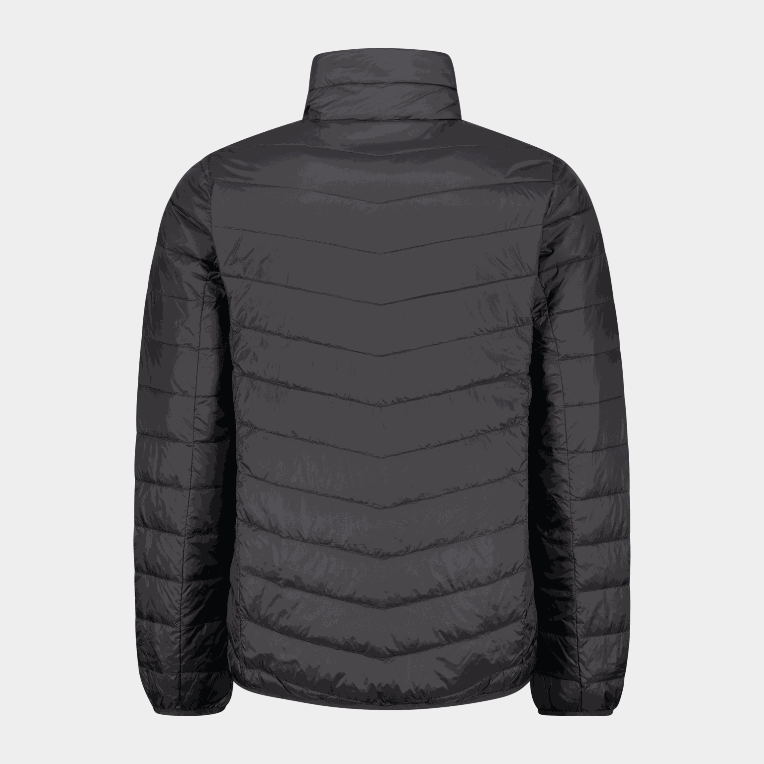 Skanse Rec Down Jacket, dunjacka, herr - full image 3
