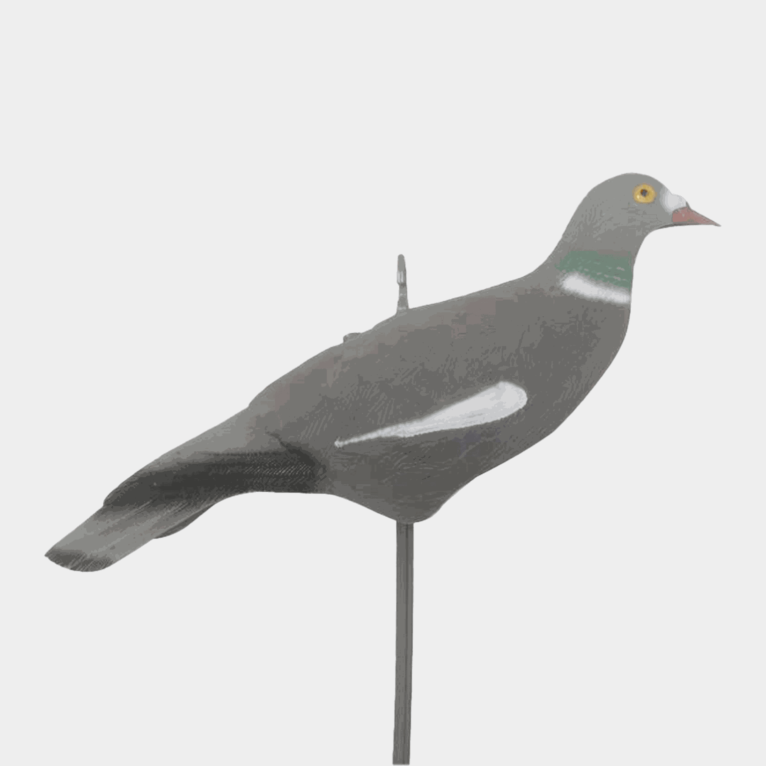 Pidgeon Shell 10pk - full image 1