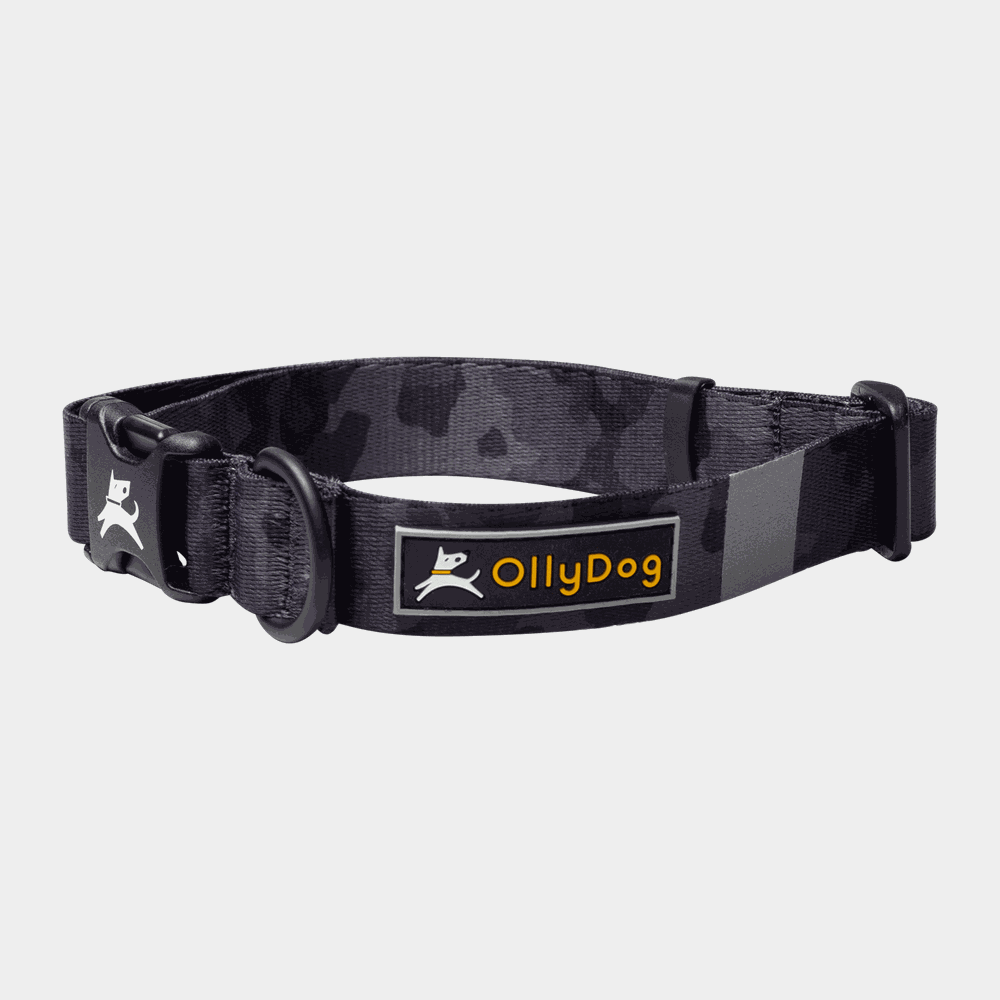 Flagstaff Collar, hundhalsband - full image 1