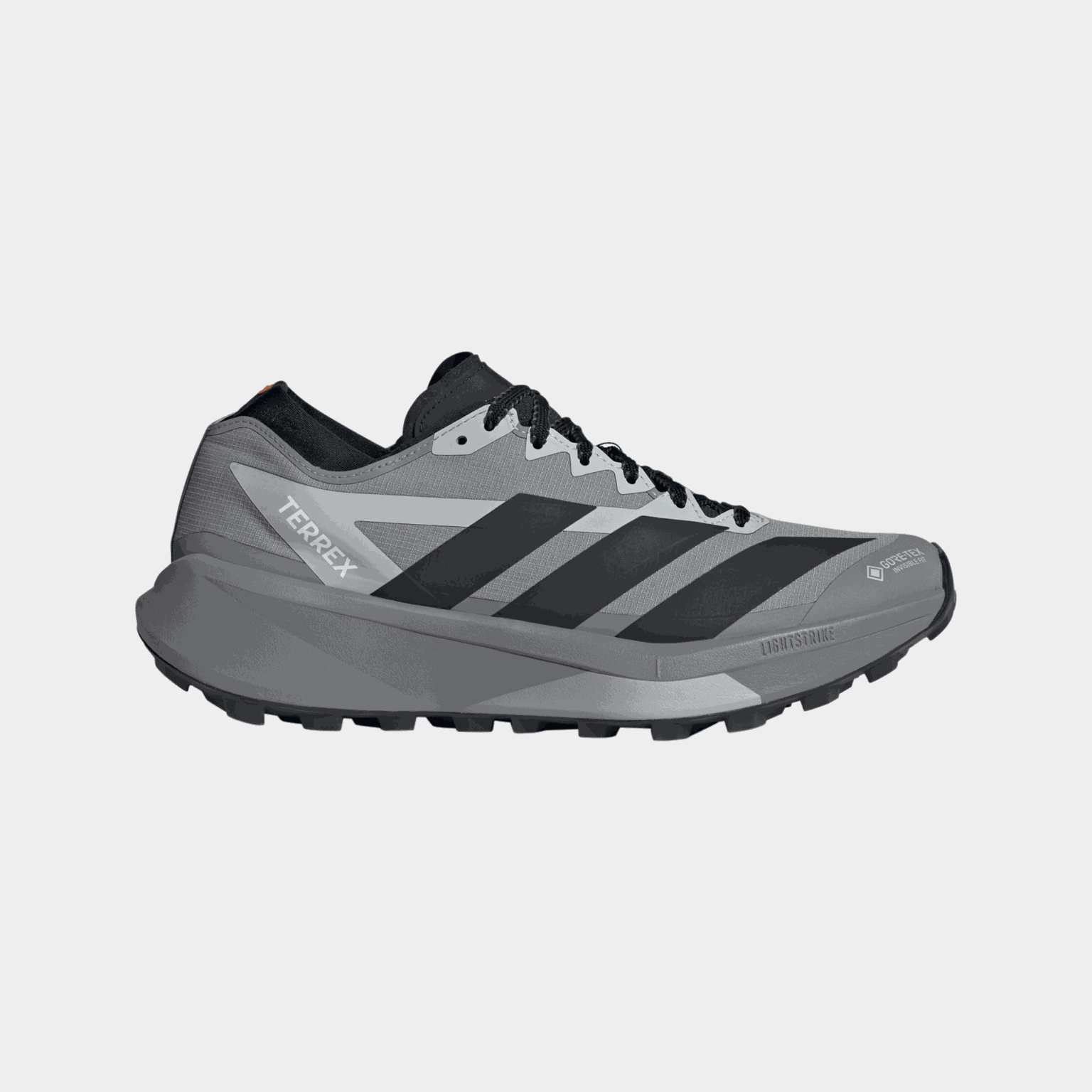 Terrex Agravic Gtx 2, löparskor, herr - Löparskor Herr