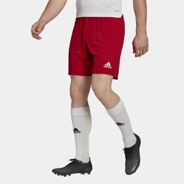 ENT22 Shorts, träningsshorts herr - Shorts
