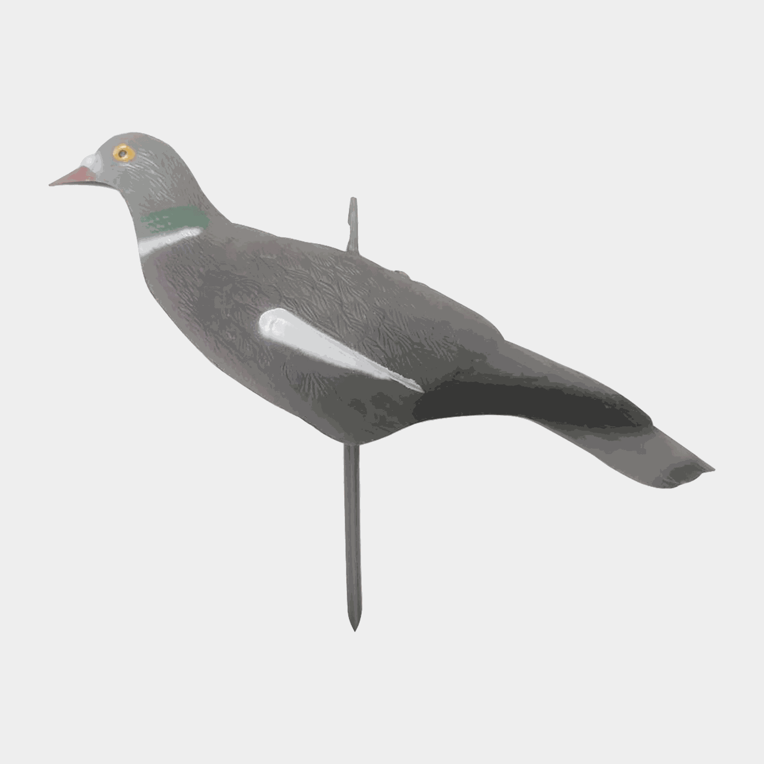 Pidgeon Shell 10pk - full image 2