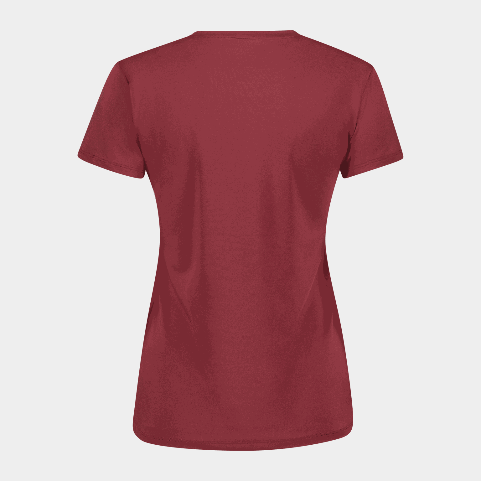 Basic T-Shirt, t-shirt, dam - full image 2
